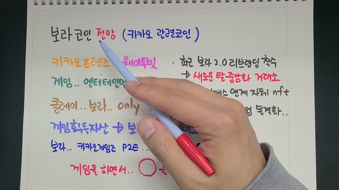보라코인 호재 전망 궁금하신가요? (카카오관련코인 1탄)