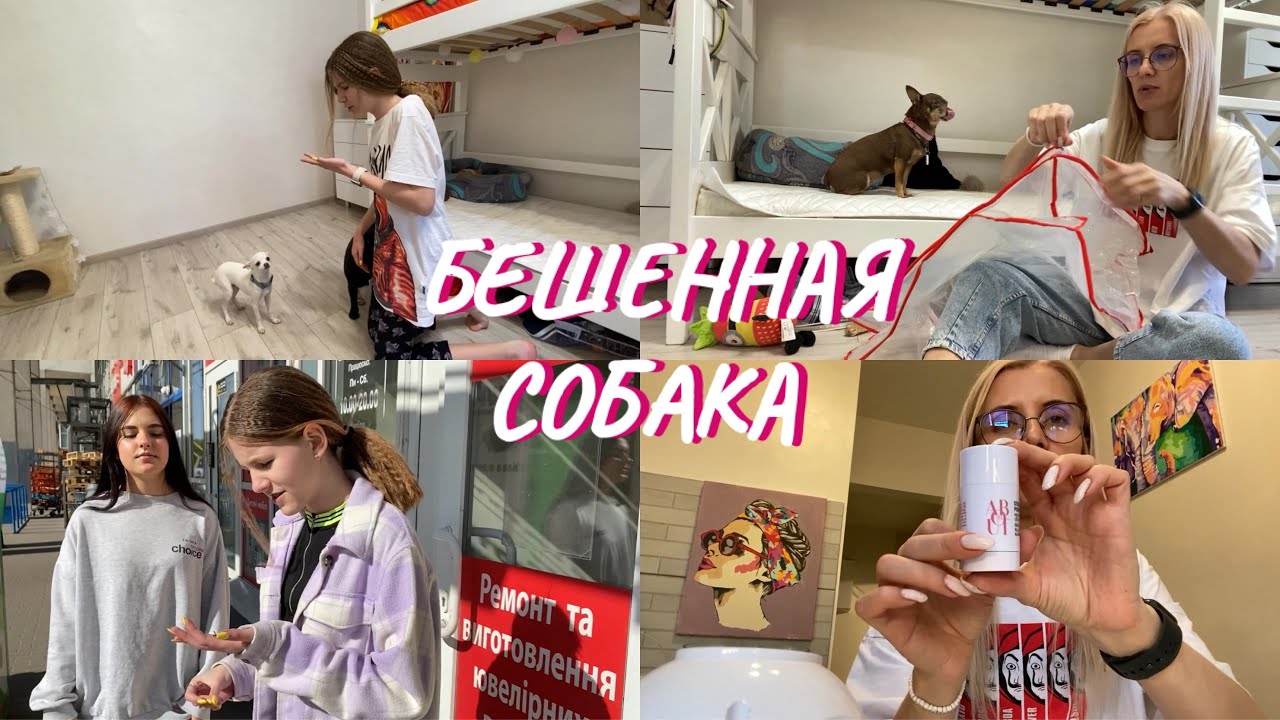 ВЛОГ. Киру покусала собака. Купила «шкаф»для мальчиков.