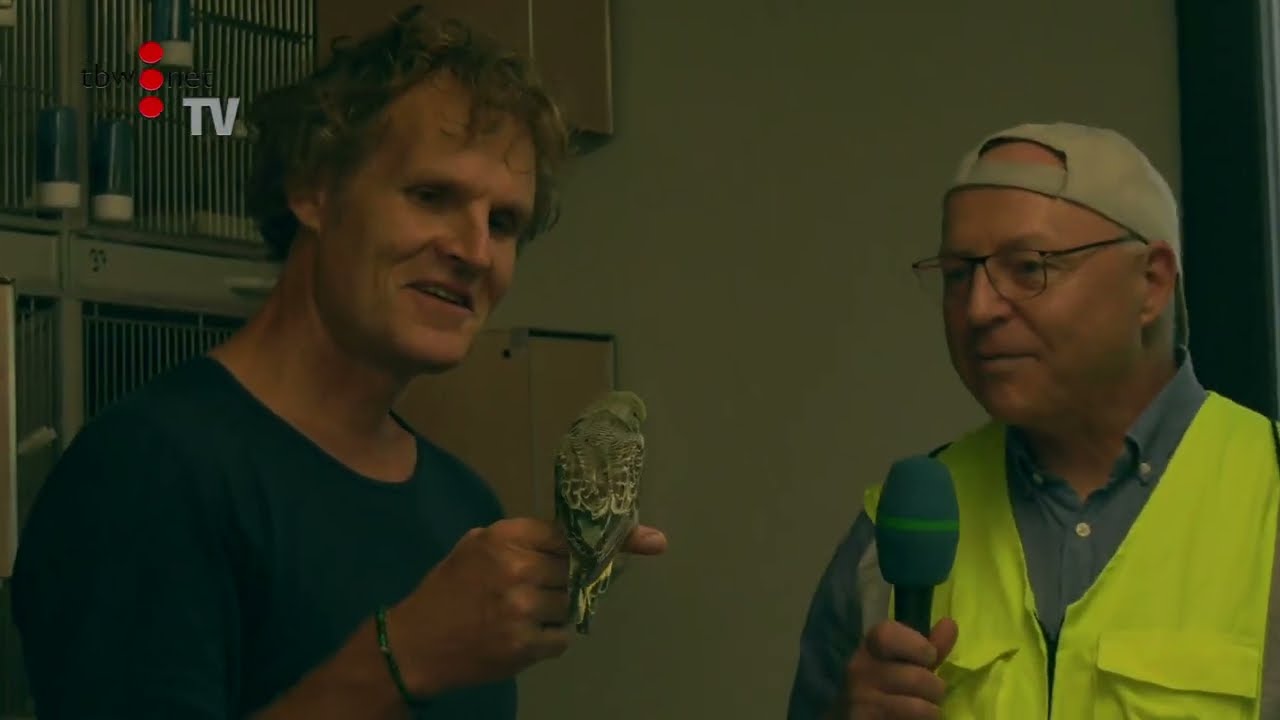 33 Der Vogelzüchter Daniel Lütolf, 05 September 2020