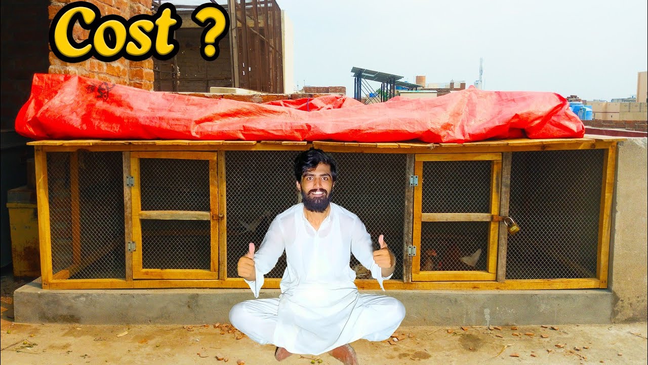 Building An Amazing Modern Cage For Pigeons And Hens 🪵🪓