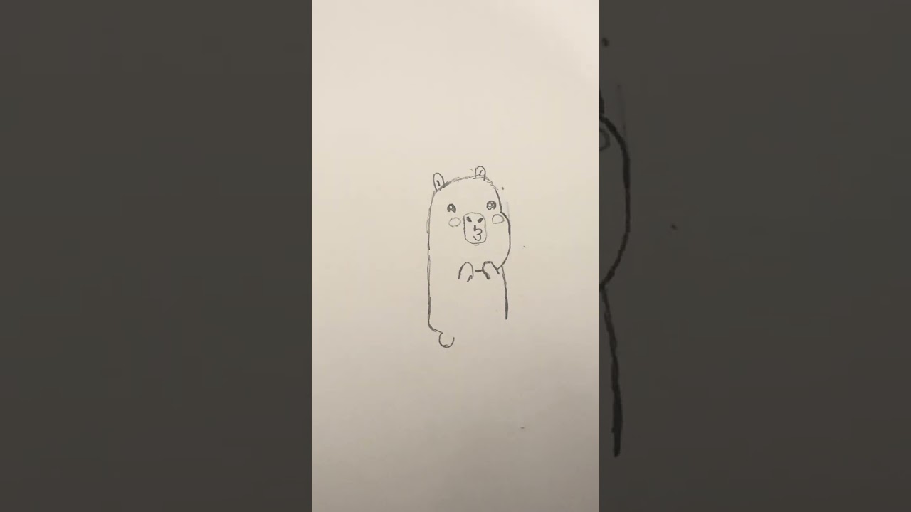 How to draw a capybara 