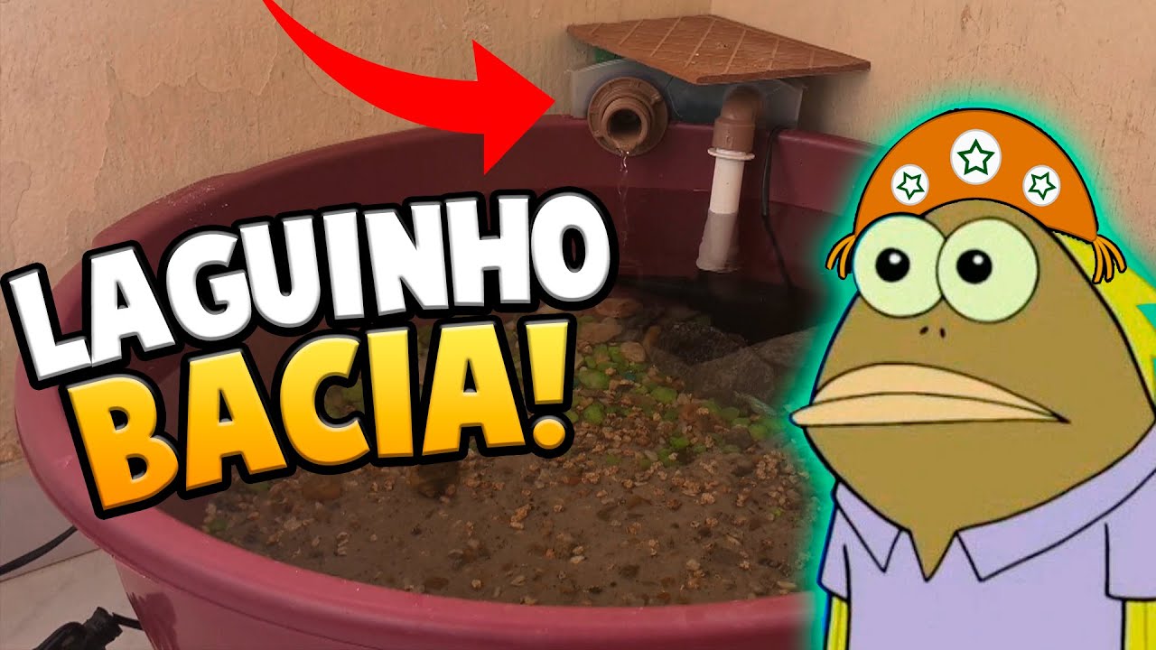 Montando um Mini Laguinho numa Bacia de 50 Litros