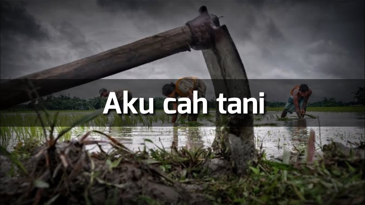 Aku cah tani (cover by nurry) lirik