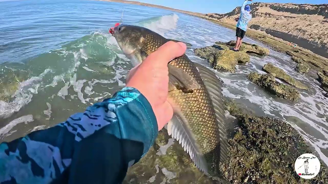 Dos dias de pesca y camping