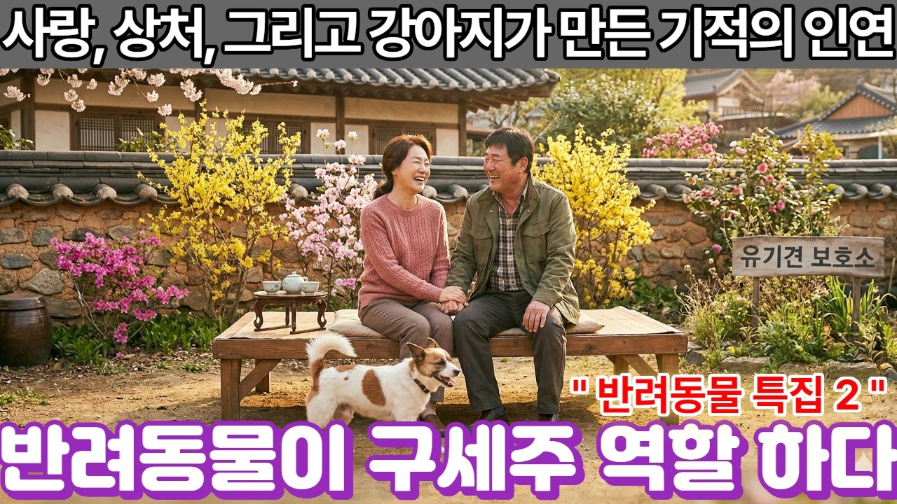 그 눈물이 사랑이 되었다-유기 견이 이어준 이혼한 두 사람의 사랑 실화