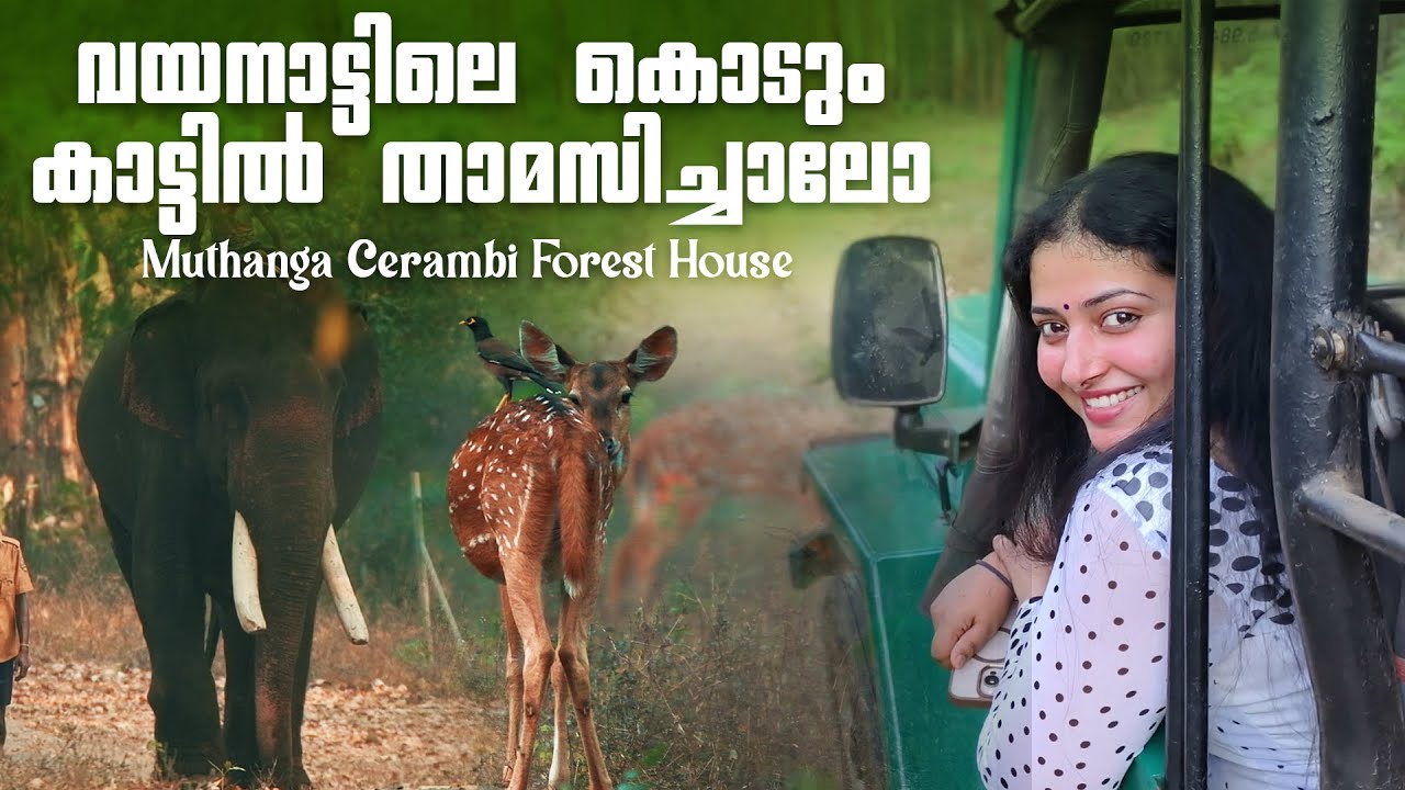 Muthanga Cerambi Govt Forest Stay Wayanad | Wildlife Sanctuary | Anu Sithara Vlogs