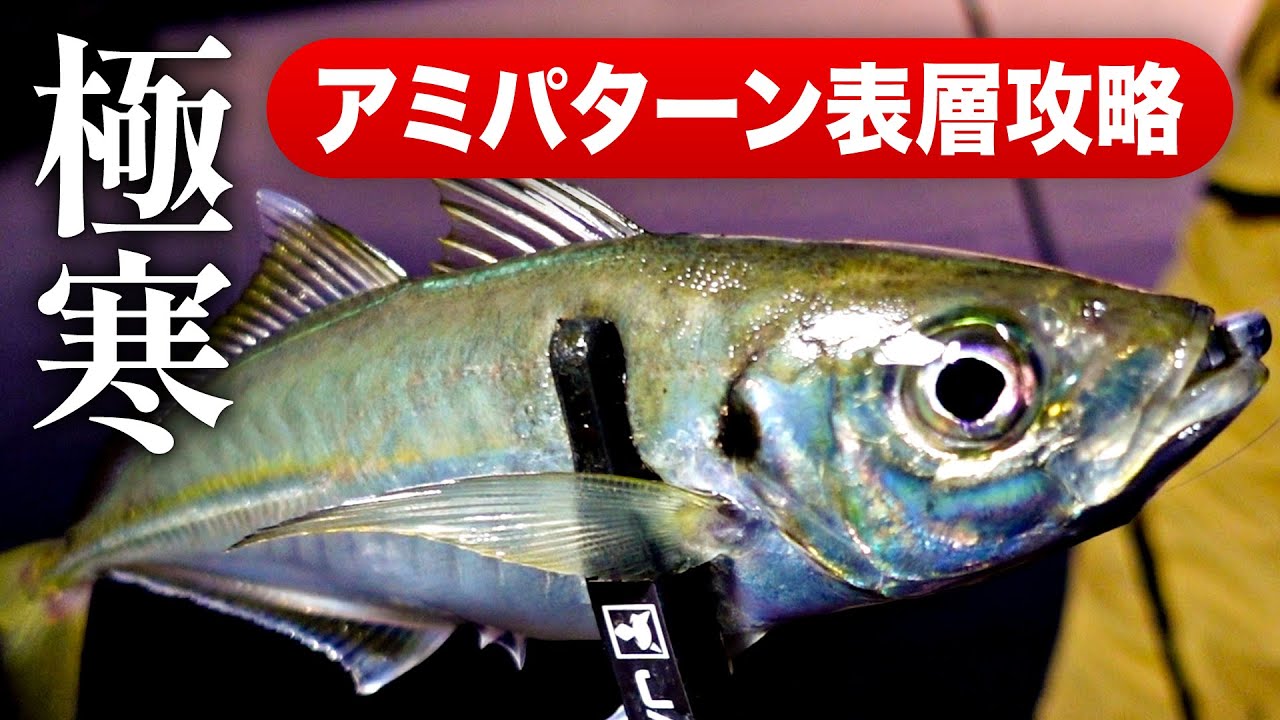【釣果に差がつく】冬のアジング “ 潮流 ” ローテーションで良型連発！ / アミパターン / 漁港・堤防 / 一宮安幸