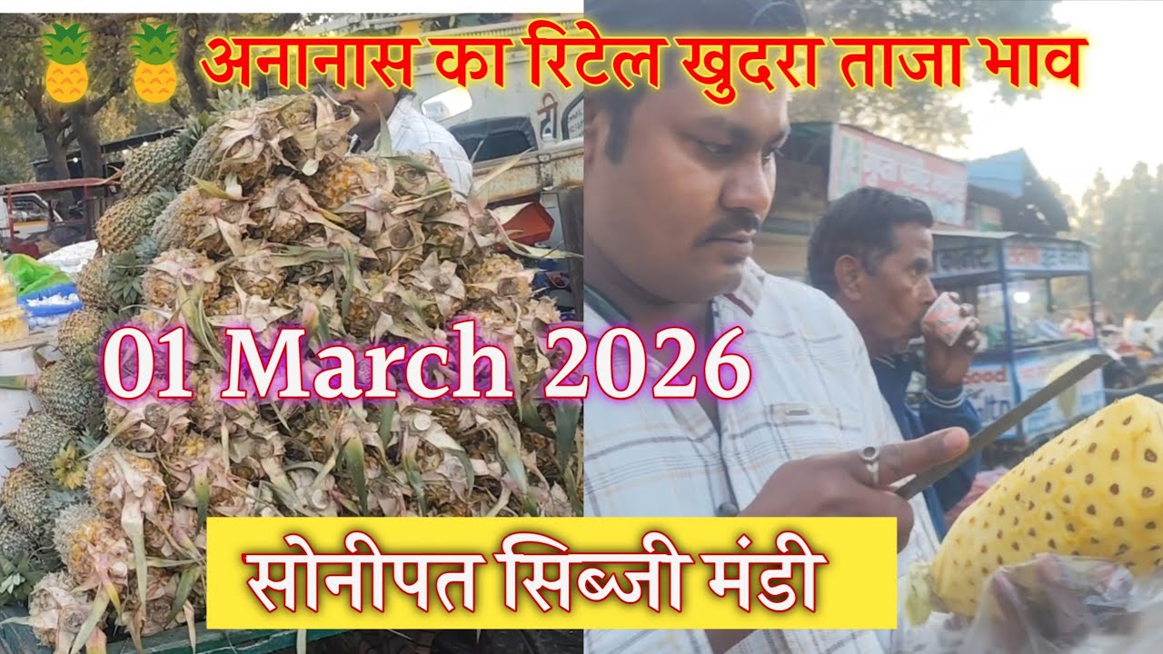 🍍🍍🍍 अनानास का रिटेल ताजा भाव सोनीपत सब्जी मंडी | ananas retail today rate Sonipat Monday