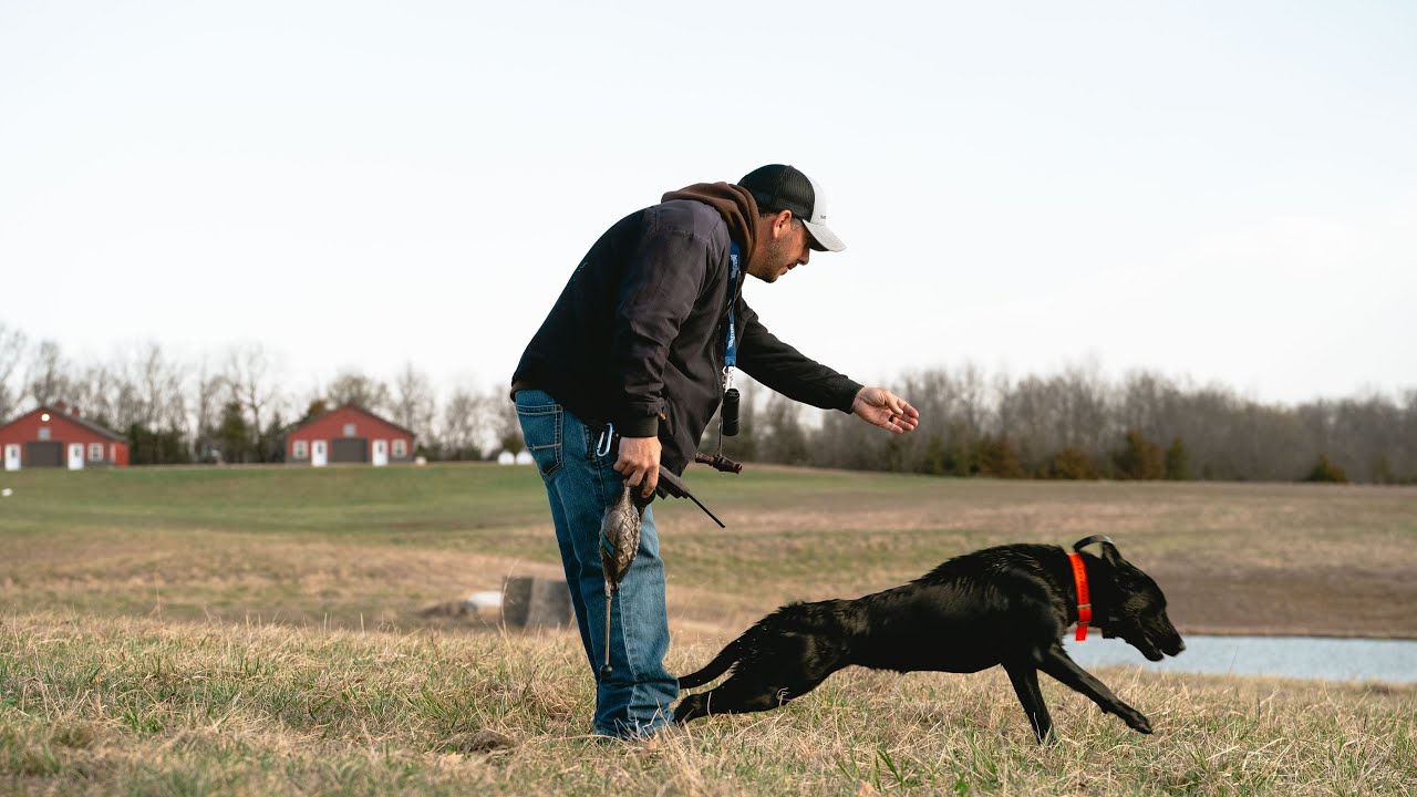 Eric Teson - Habitat Flats Kennels - Dog Training