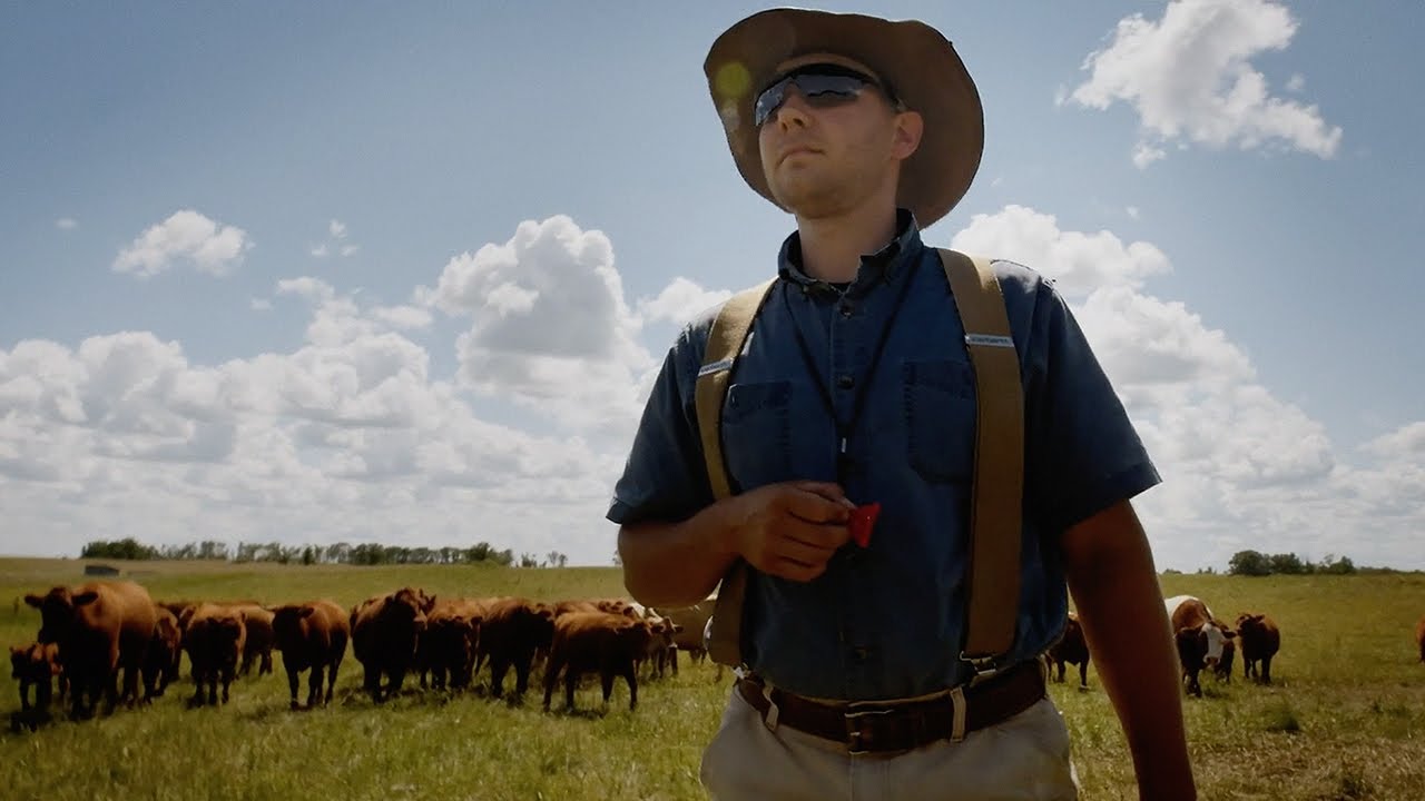 Manitoba Museum: Prairie Perspectives - Farming for the Future