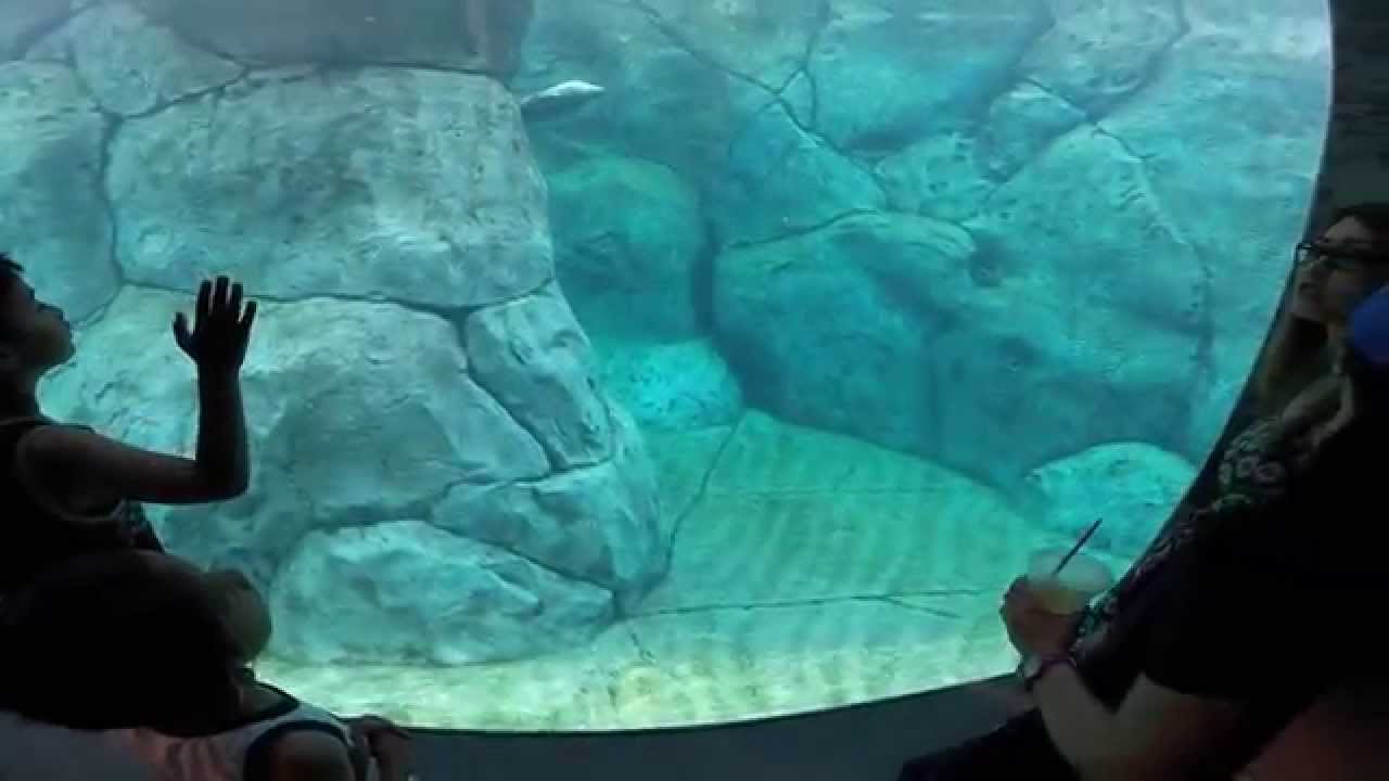 Assiniboine Zoo