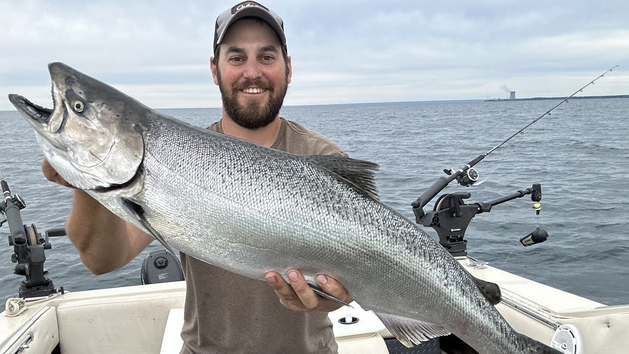 Lake Ontario KING SALMON- Evening Bite!