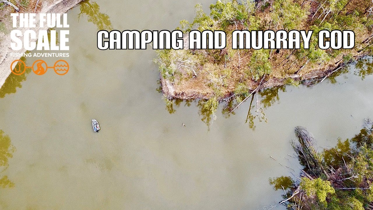Camping and Murray Cod | The Full Scale