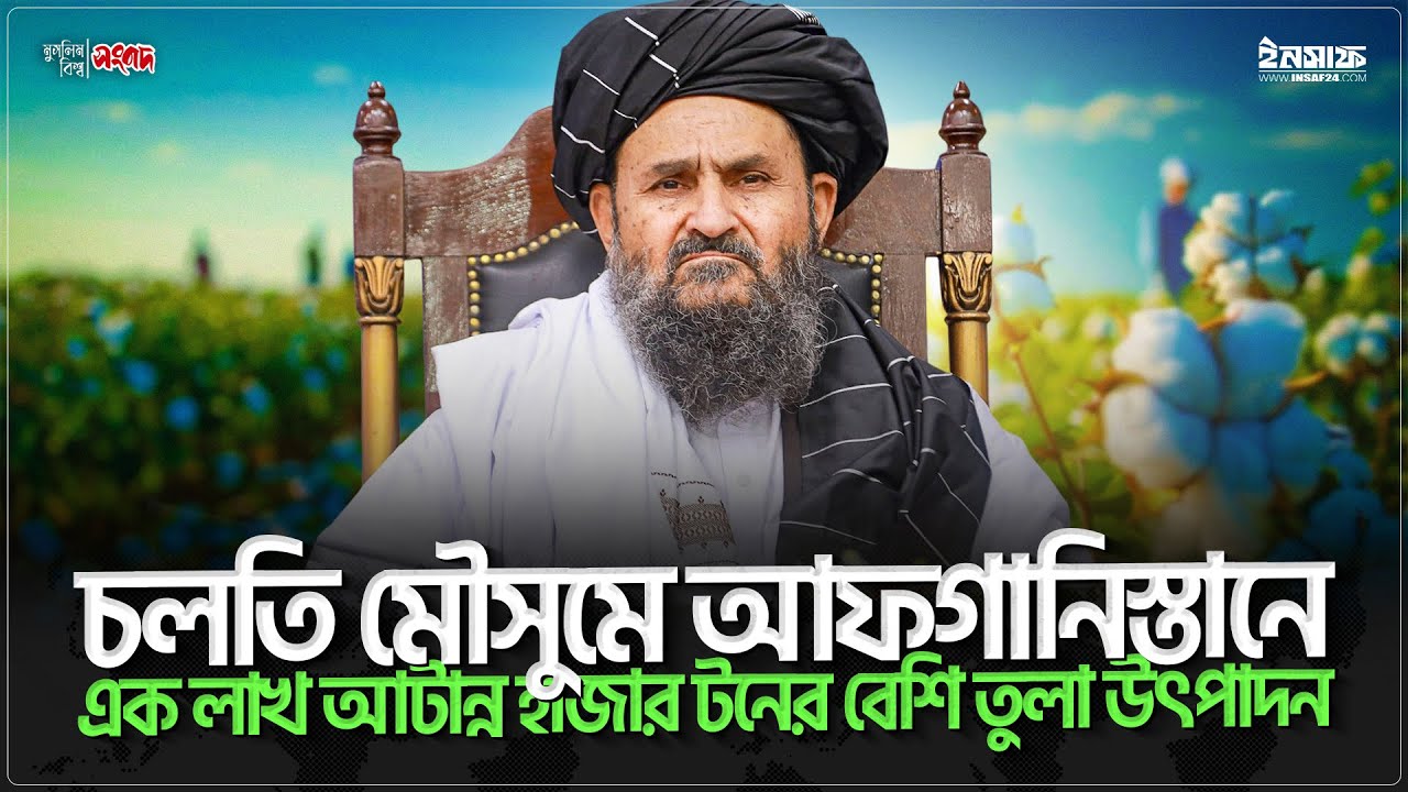 চলতি মৌসুমে আফগানিস্তানে এক লাখ আটান্ন হাজার টনের বেশি তুলা উৎপাদন | @insaf24bd | ইনসাফ