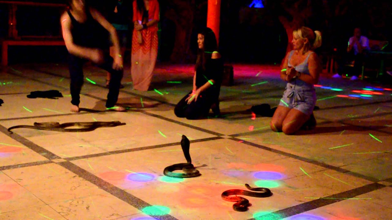Kobra Show 1. Hurghada, 18. 11. 2013