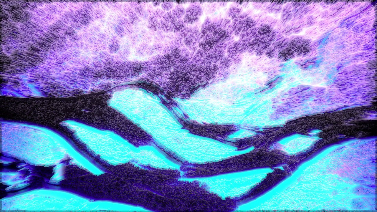 Duke Boara – Wairau Bay (Visualiser)