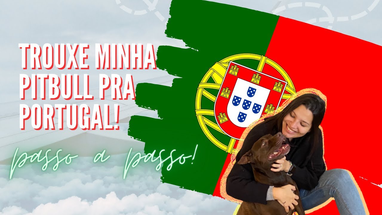 TROUXE MINHA PITBULL PRA PORTUGAL | processo de viagem passo a passo!!!