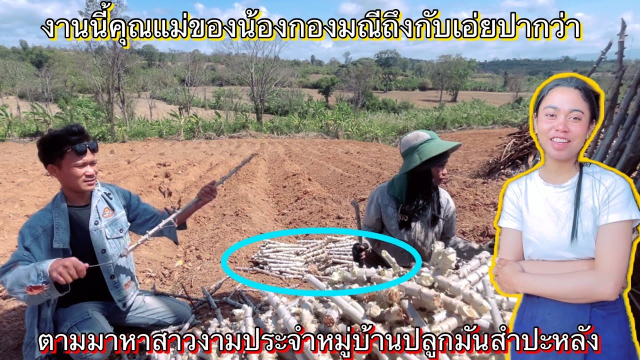 บุกป่ามันน้องกองมณีงานนี้คุณแม่ถึงกับเอ่ยปากว่า ￼18 กุมภาพันธ์ ค.ศ. 2026