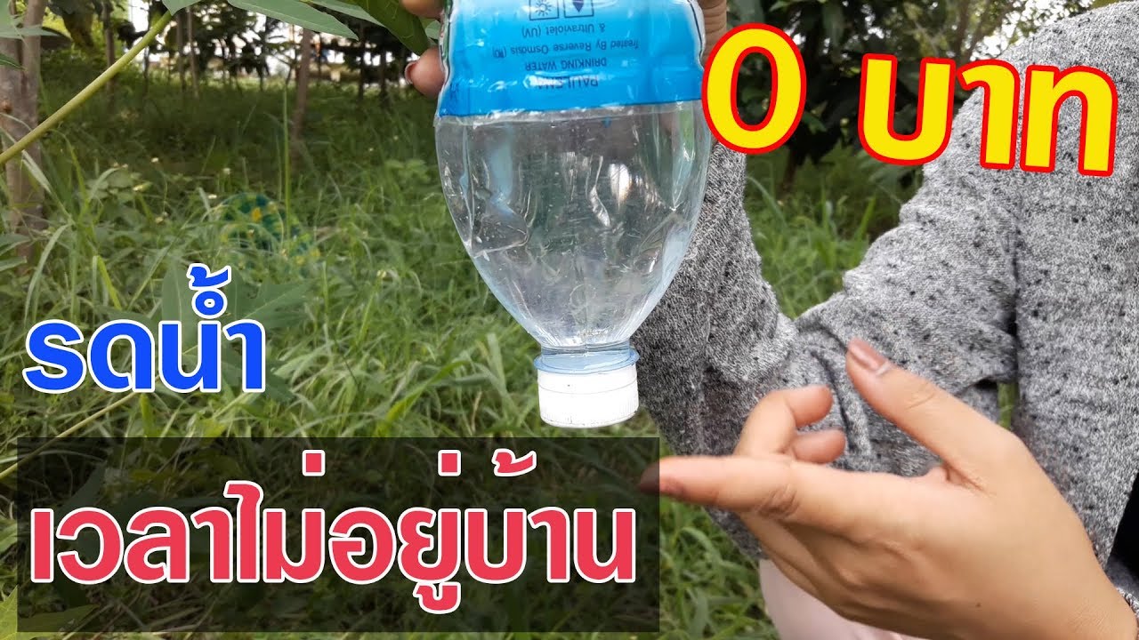 เผยสูตร!! ระบบน้ำหยดจากขวด เมื่อไม่อยู่บ้านแต่ต้นไม้ยังงามเว่อร์ งบ 0 บาท by ต่าย