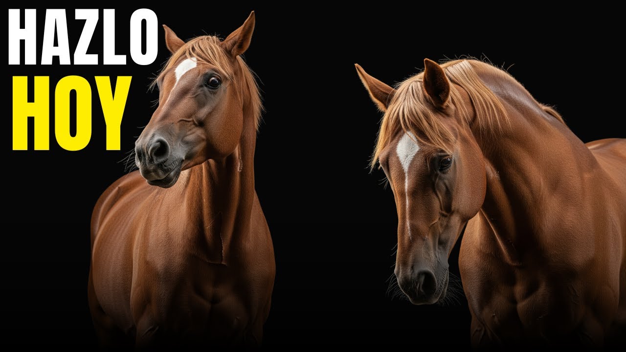 Casi Todos Los CABALLOS Cambian Con Esta Rutina De 5 Minutos
