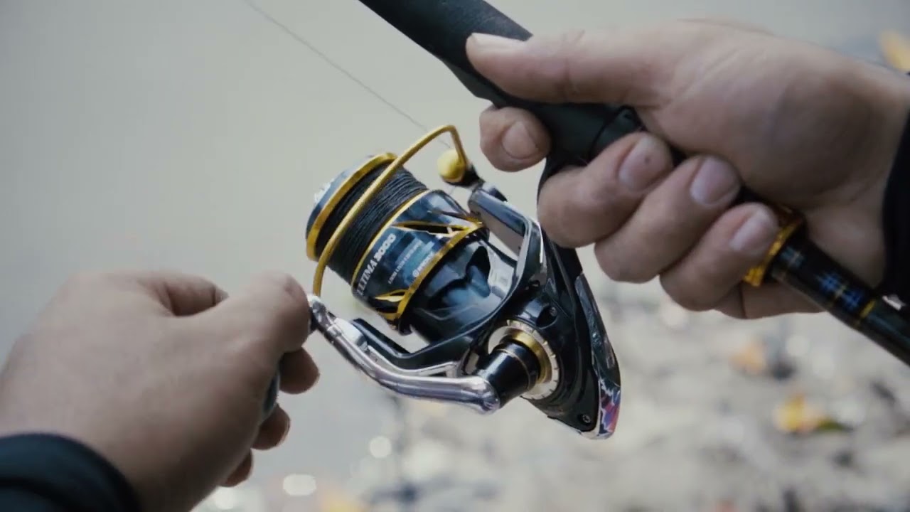 The Ultimate Masterpiece Iroly Ultima