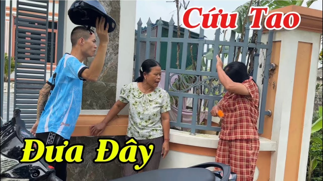 Hay Rồi | Mụ Liên Láo Nháo Thì Hiệp Cho Mũ Bảo Hiểm Vào Đ.ầ.u Luôn…