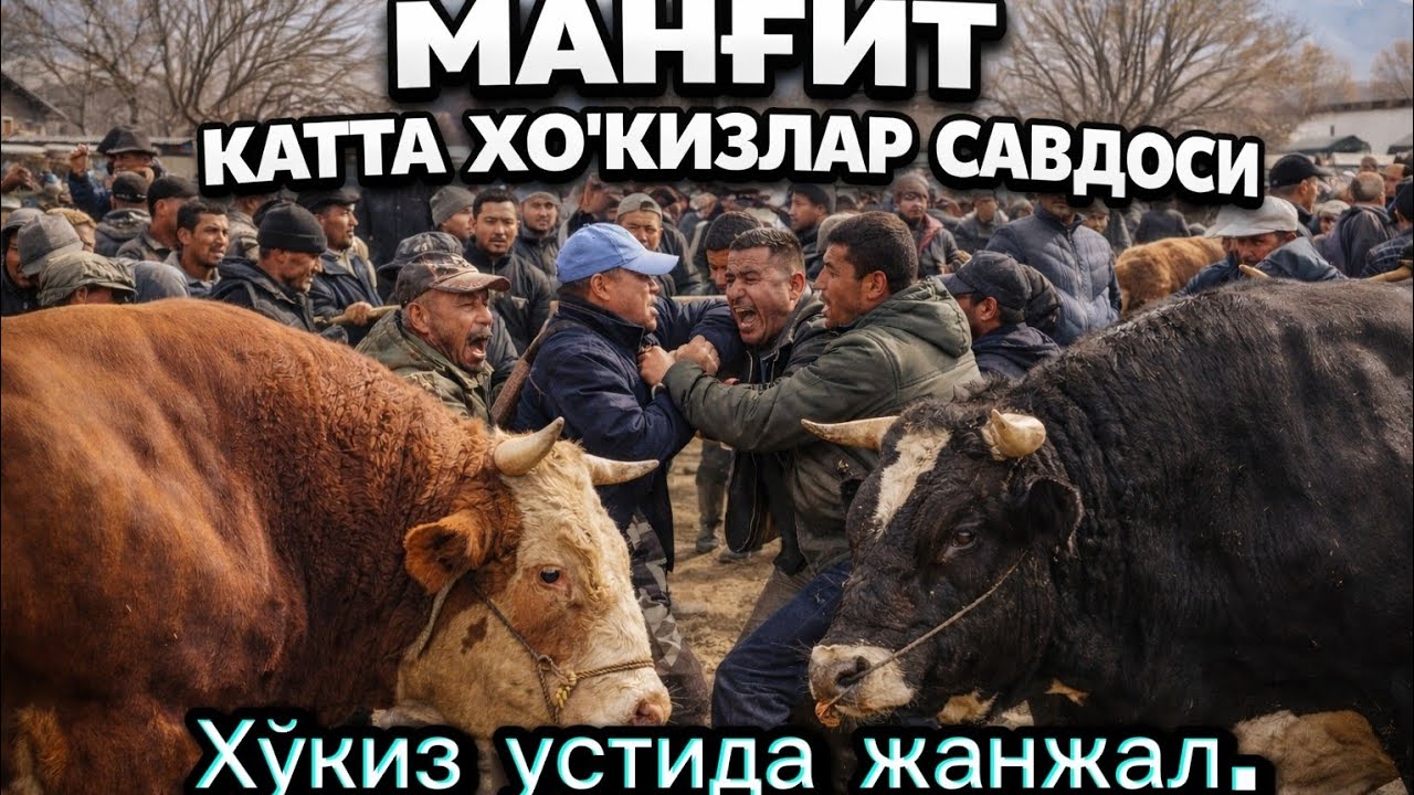 5-МАРТ МАНҒИТ!!! КАТТА КИЧИК🦬🦬🦬 ХЎКИЗЛАР УСТИДА ЖАНЖАЛ НАРХЛАР ТУШДИМИ КЎРАМИЗ