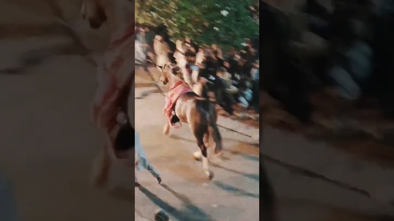 10 Muharram 2025 Buraq Badshah Karbala Gamay Shah Inside Run