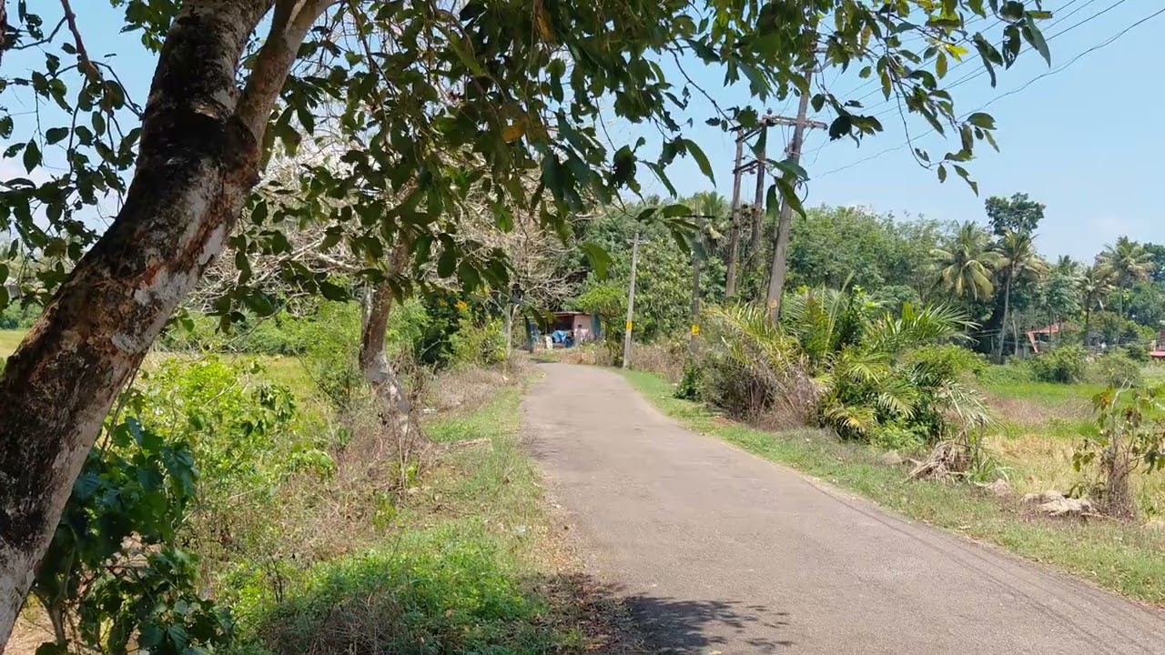 Kerala country side. Village Area