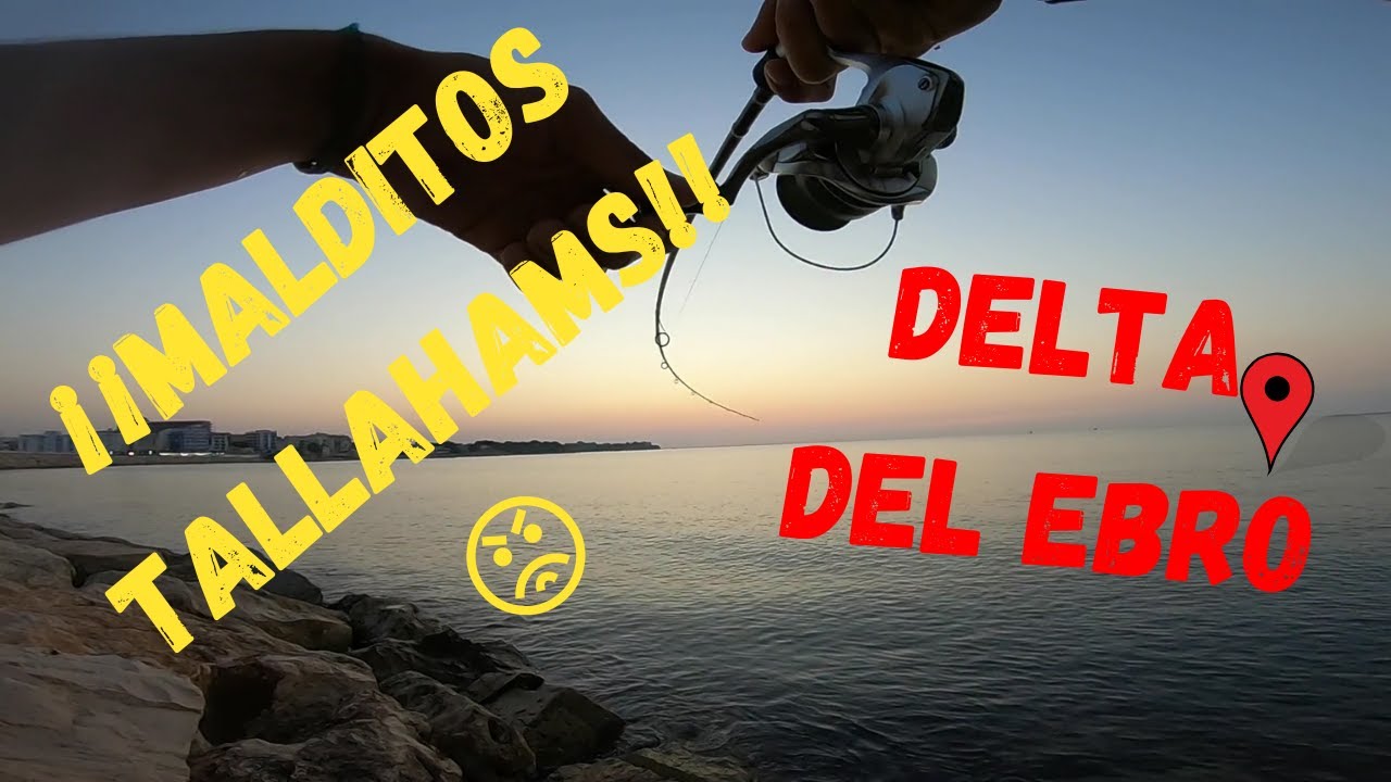 ¡¡ESTAS PIRAÑAS LO CORTAN TODO!! Aventura de pesca DELTA DEL EBRO (Travel Vlog 12)