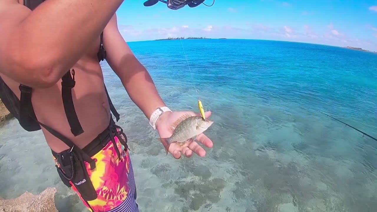 Fishing Rodrigues island / July 2020 /