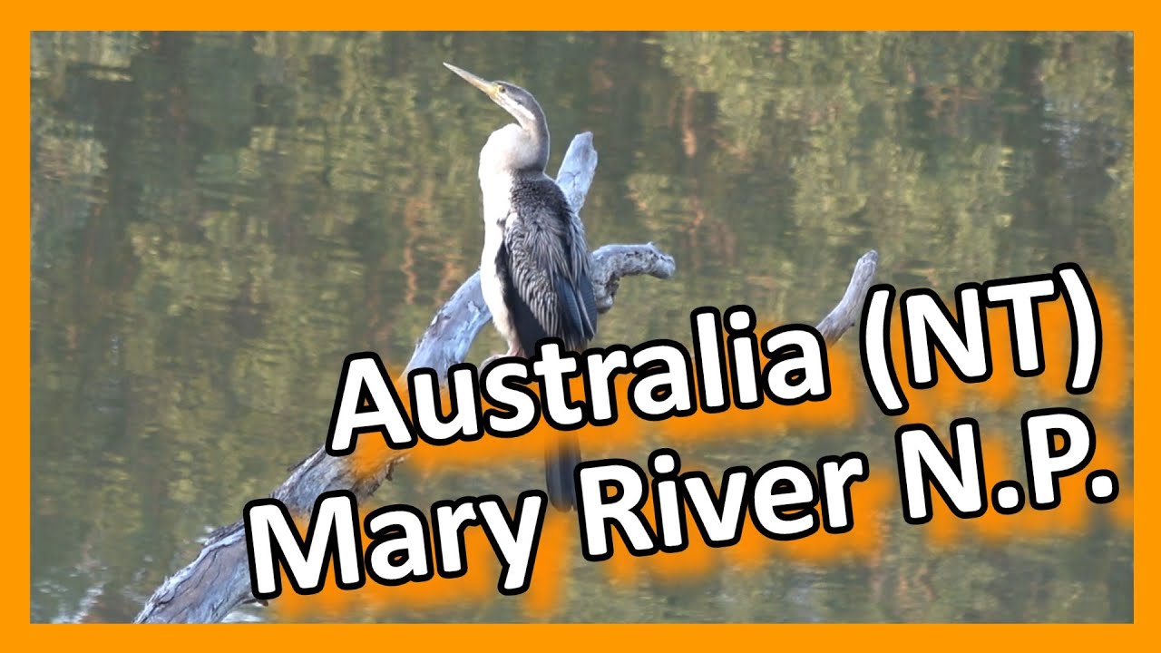 Australia - Northern Territories - Mary River National Park