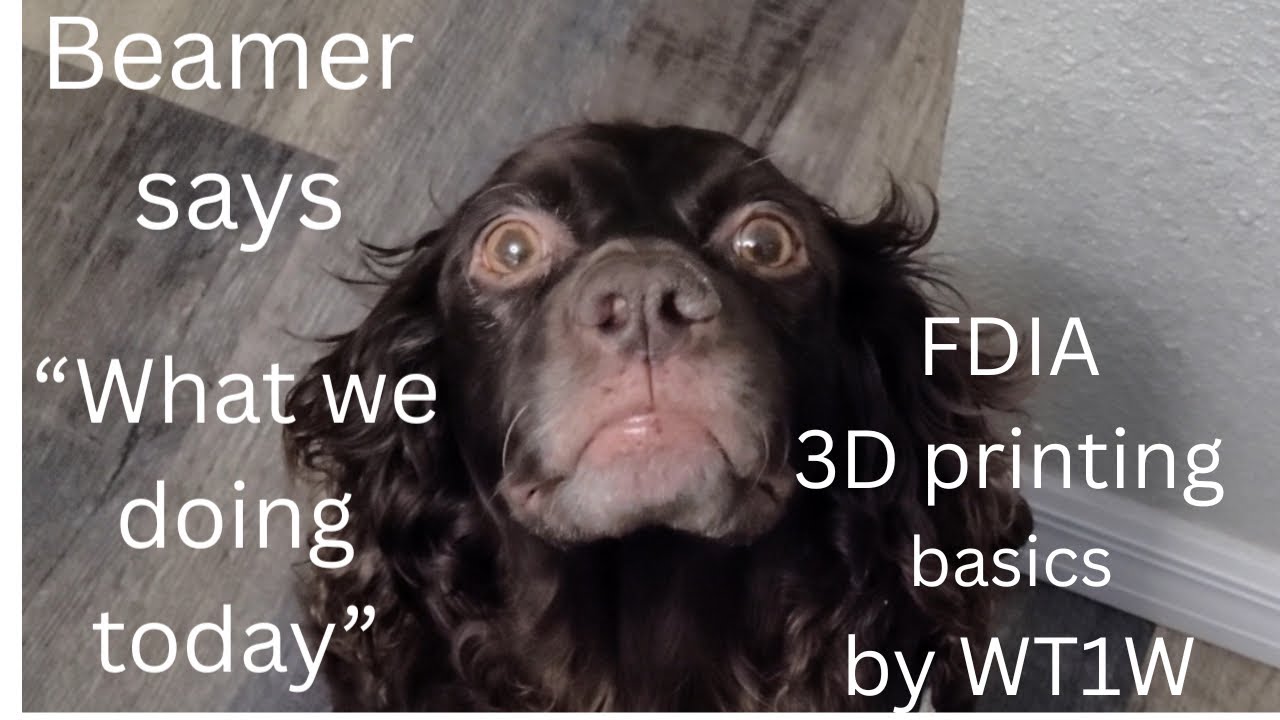 FDIA 3d printing presentation 8/14/25