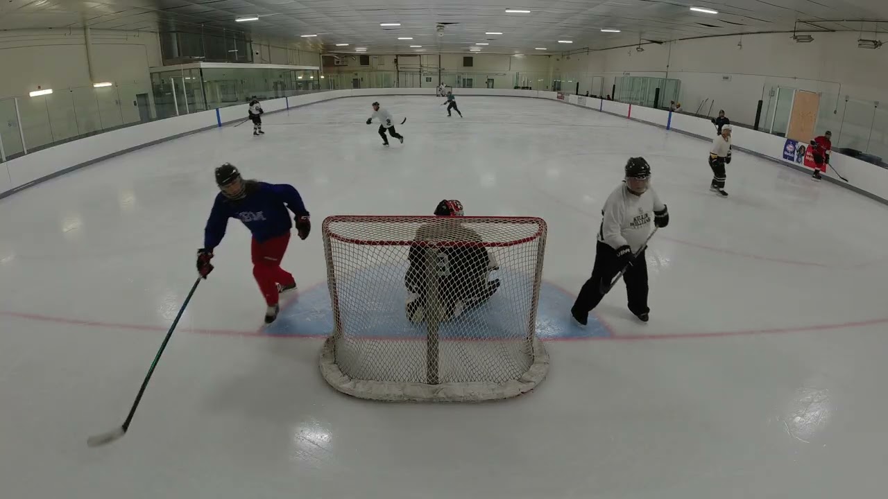 DJI 0563 002 Oriole Shinny Dark shooting 11 Feb 2026 Part 2/5