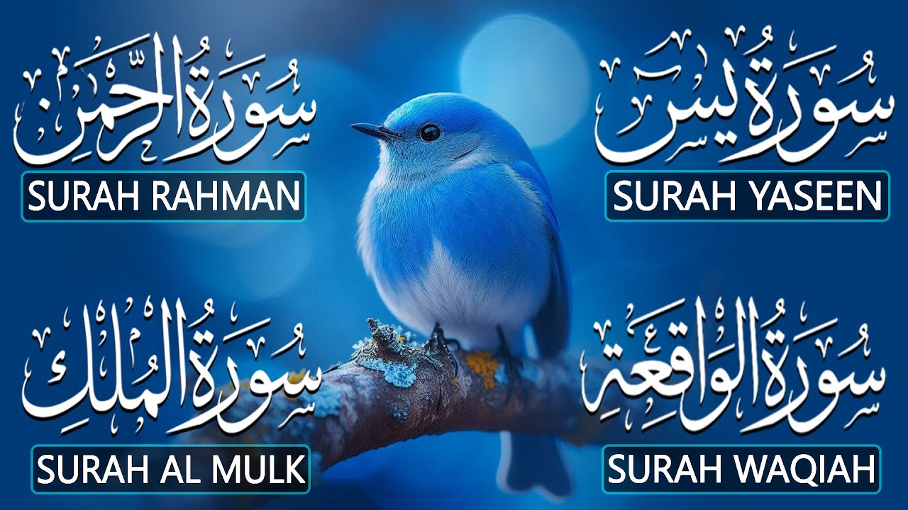 Magical Recitation Surah Yaseen (Yasin) | Surah Rahman | Surah Waqiah | Surah Mulk | By Alaa Aqel