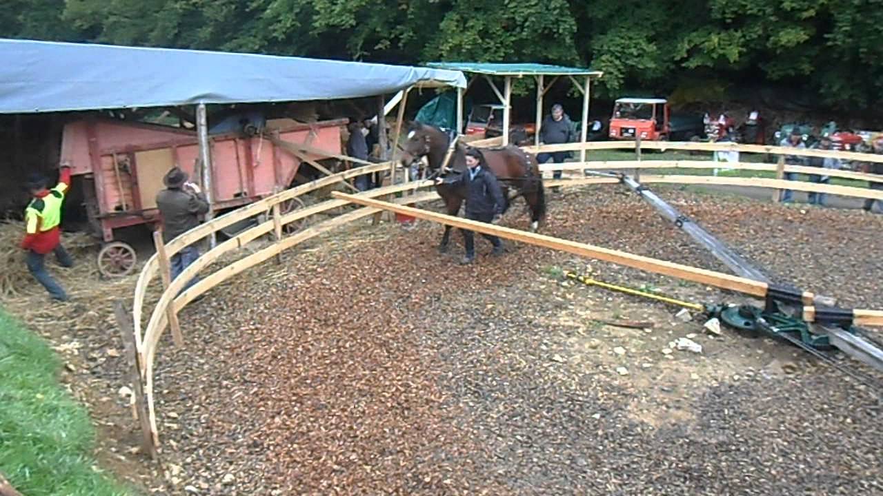 Dreschen mit dem Pferdegöpel