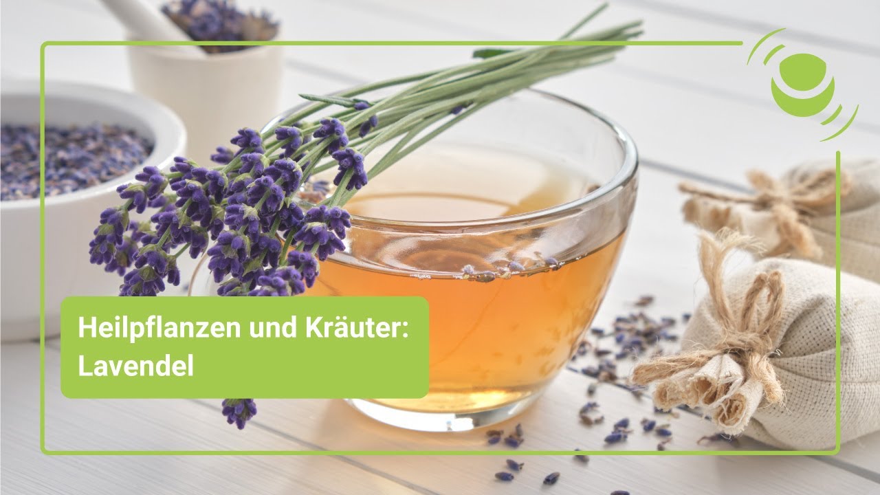 Lavendel &ndash; Alles, was du &uuml;ber seine Wirkung wissen solltest.