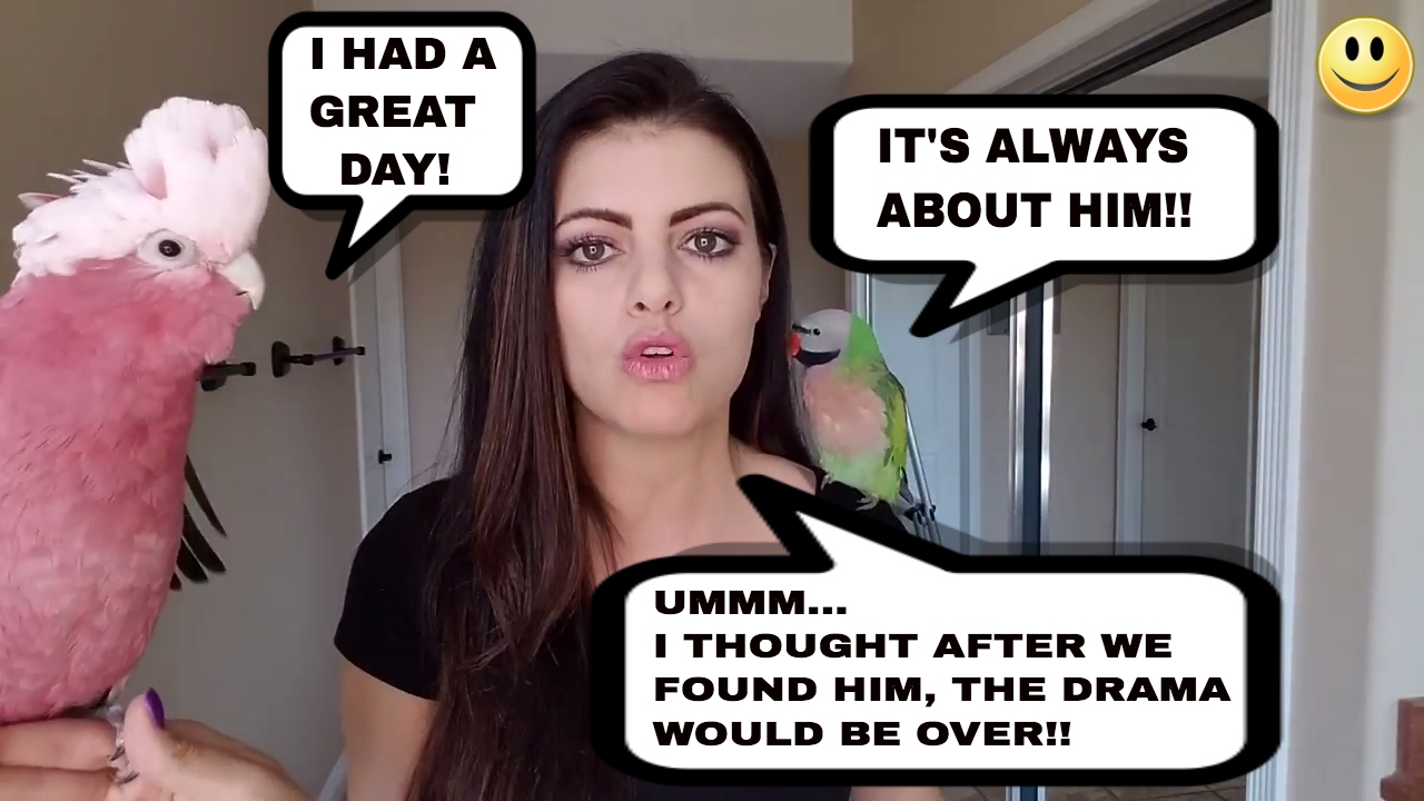 My Parrot Flew Away at The Worst Time | PARROT VIDEO OF THE DAY