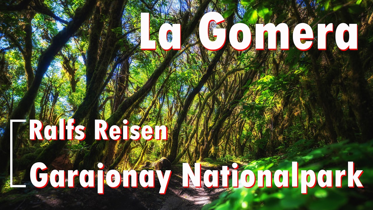 La Gomera - Wanderung durch den Garajonay Nationalpark - Ralfs Reisen 4k