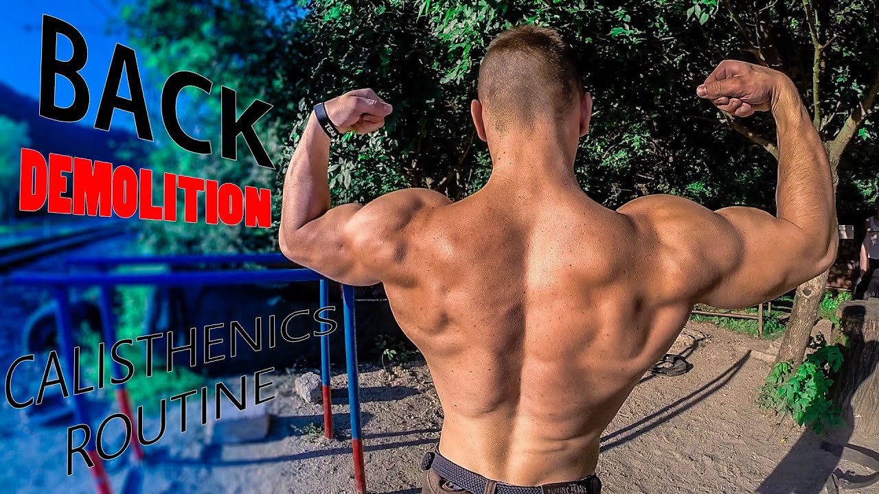 Back DEMOLITION Calisthenics - Street Workout Routine ( Weighted )