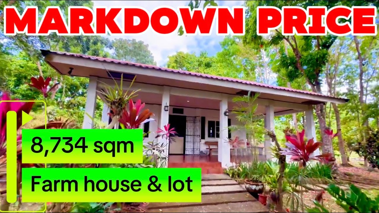 NOV-888-26 MARKDOWN PRICE 34M ‼️Farm house and lot near tagaytay 8,734 sqm along brgy road