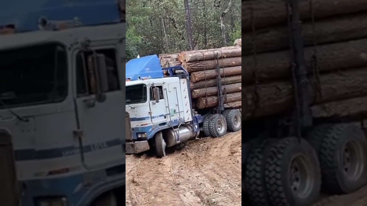 Risky logging on muddy Road #automobile #logger