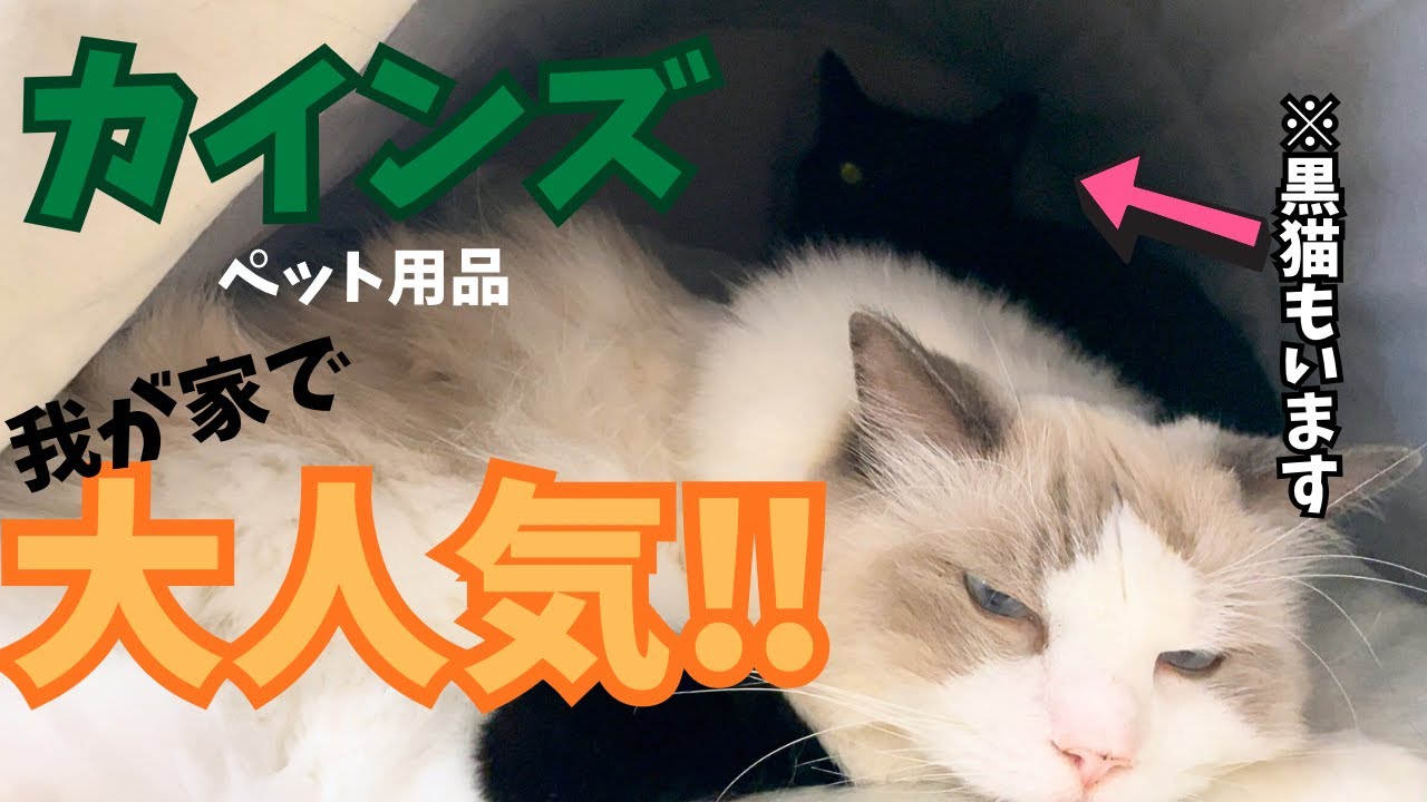 【カインズ】電気のいらない保温ベッドが凄すぎて追加購入しました！！