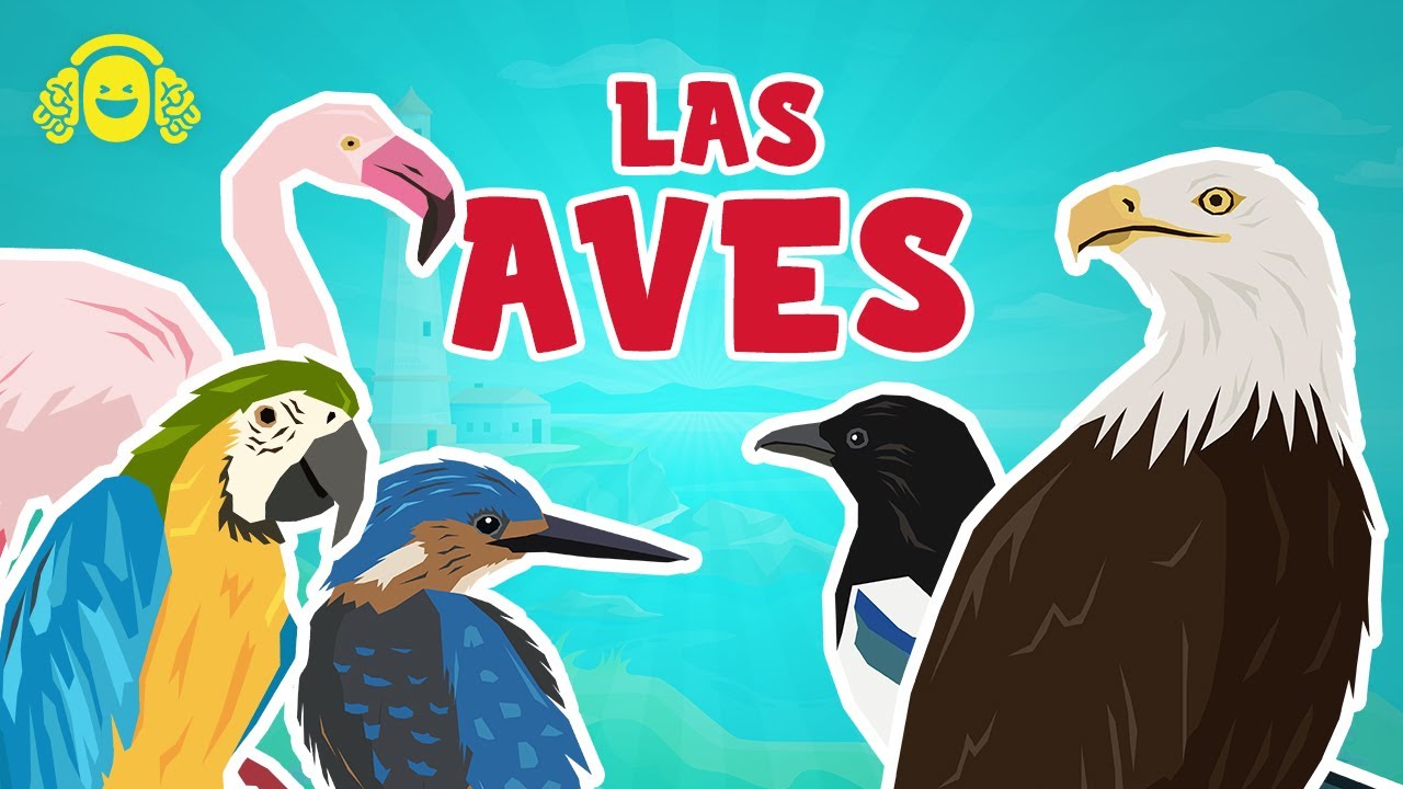 LAS AVES para niños. Los animales VERTEBRADOS. Ciencias para niños.Vídeos educativos.
