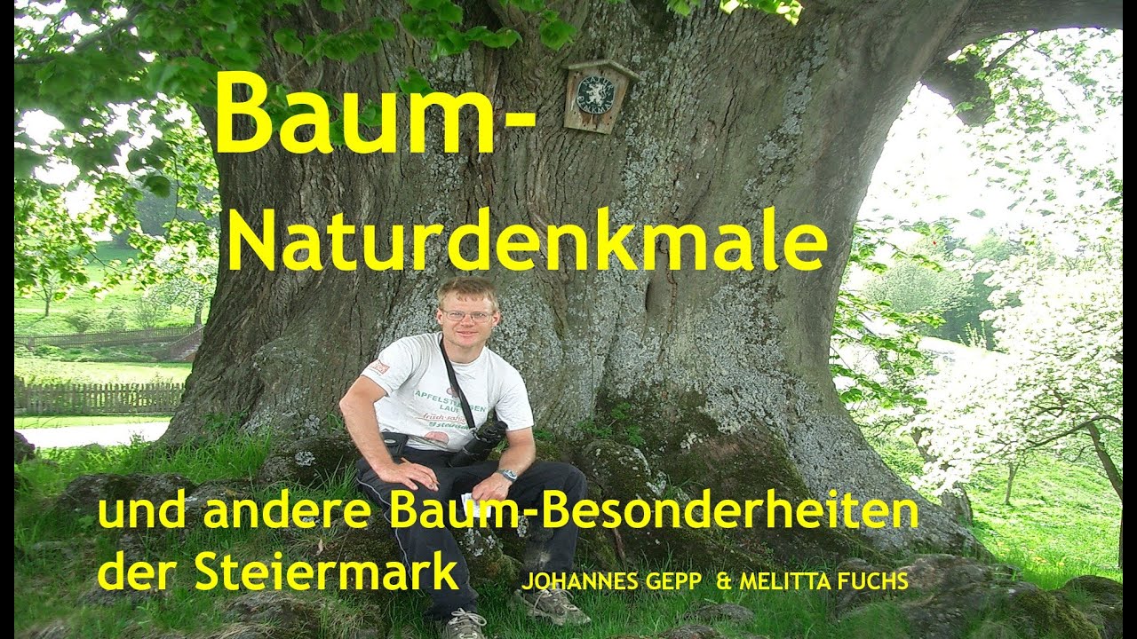 Webinar: Baum-Naturdenkmale und andere Baum-Besonderheiten der Steiermark
