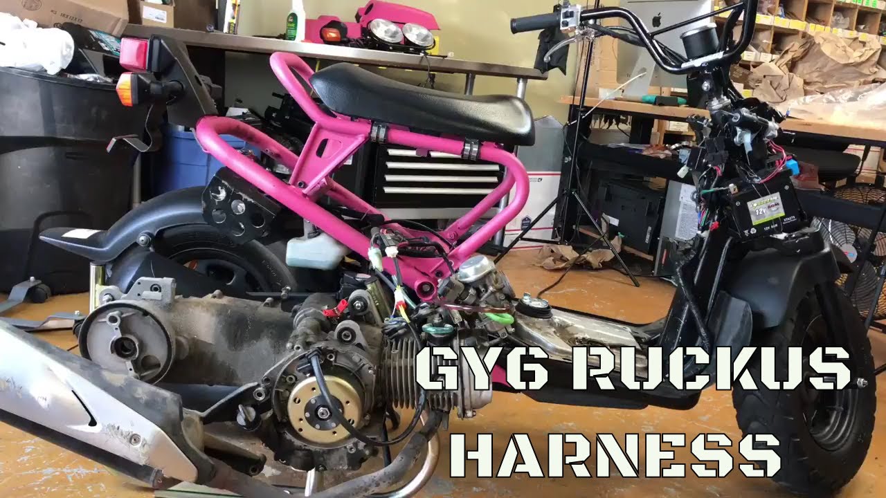 Gy6 swap wiring harness