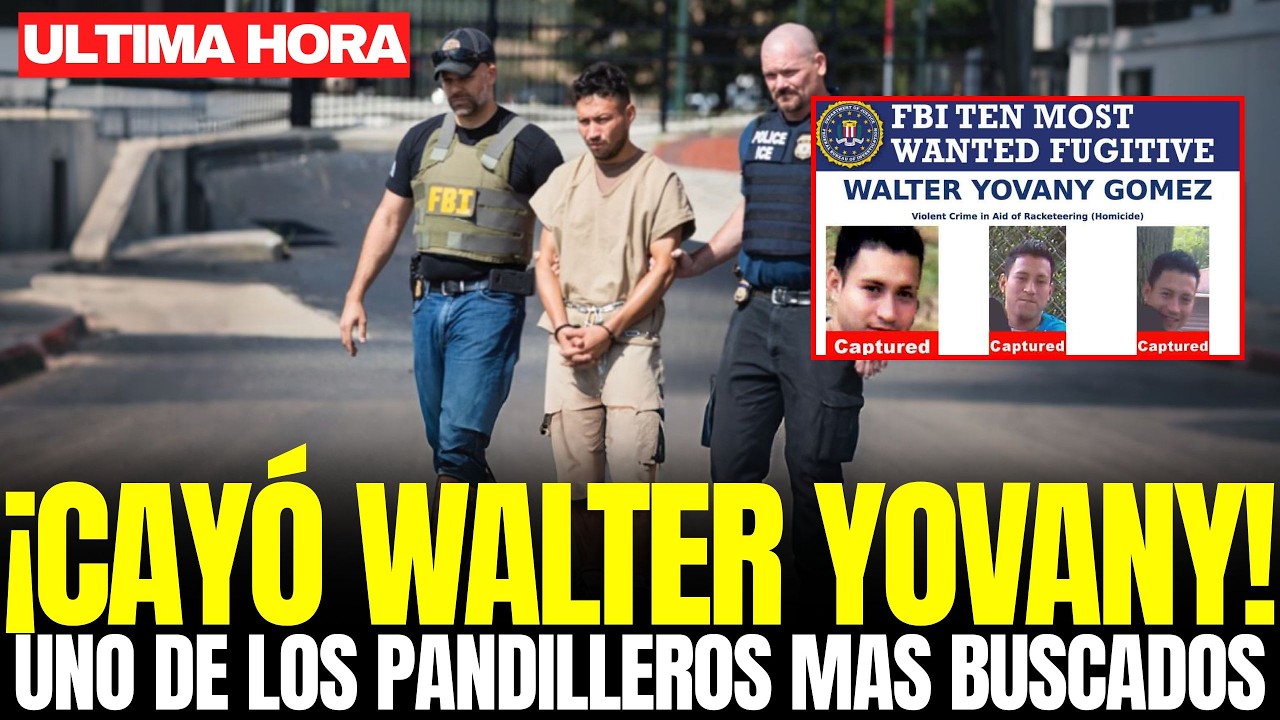 ASÍ CAYÓ WALTER YOVANY GÓMEZ: Miembro de la MS-13 y Uno de los Hombres Mas Buscados del FBI