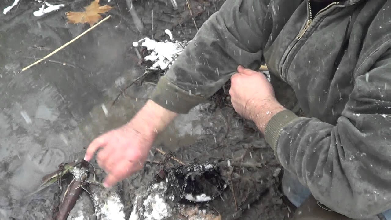 Beaver Trapping with footholds and conibears using Blind Sets