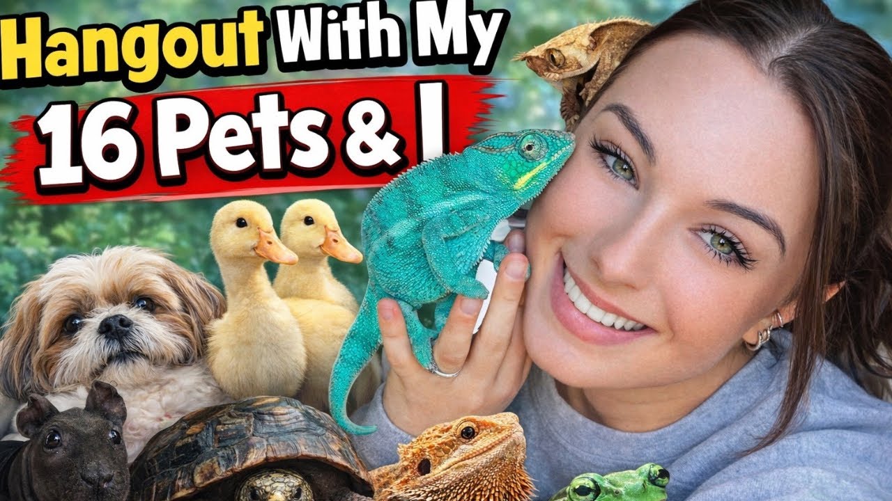 Hangout With My 16 Pets & I (new additions) 