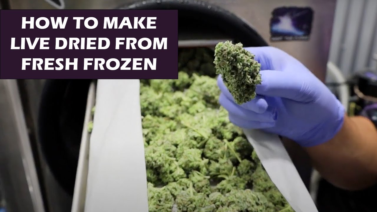How Pros Make Live Dried with Fresh Frozen